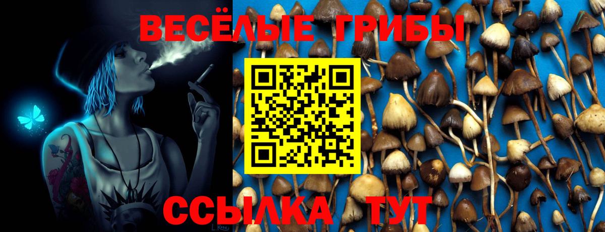 Волгодонск  Галлюциногенные грибы Psilocybine cubensis  Вход с VPN 