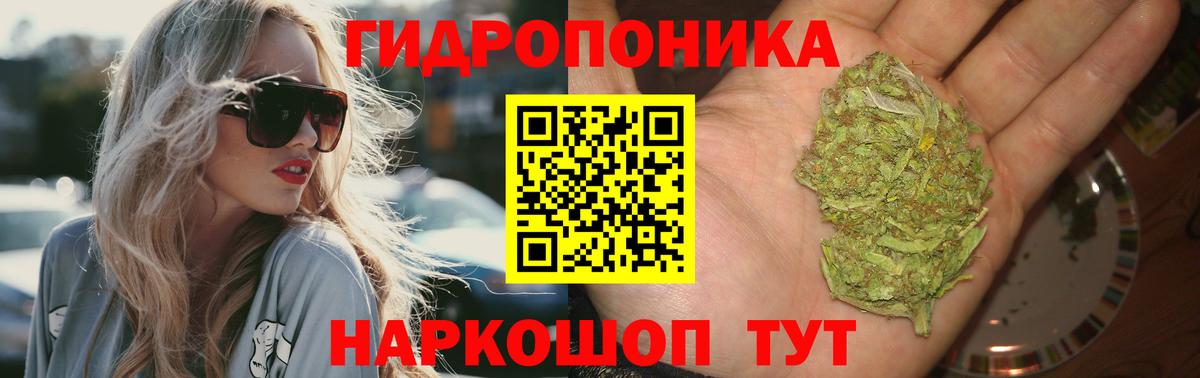 Конопля конопля  Вход с VPN  Конопля тримм  Марихуана Ganja  Волгодонск  Бошки марихуана гибрид 